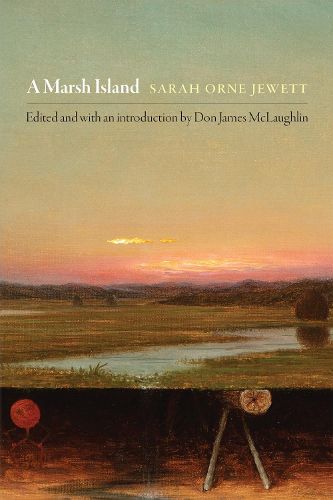 Cover image for A Marsh Island