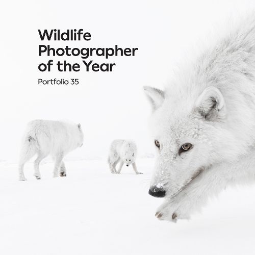 Cover image for Wildlife Photographer of the Year: Portfolio 35