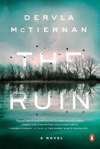 Cover image for The Ruin: A Novel