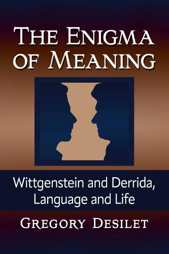 Cover image for The Enigma of Meaning