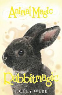Cover image for Rabbitmagic