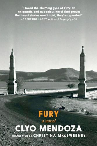 Cover image for Fury