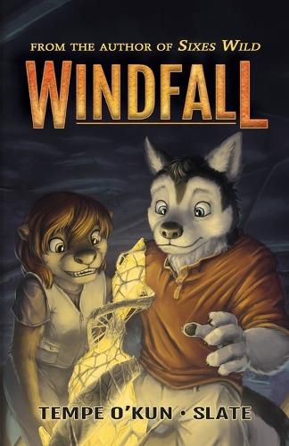 Cover image for Windfall