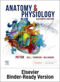 Cover image for Anatomy & Physiology - Binder-Ready (includes A&P Online course)