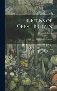 Cover image for The Ferns of Great Britain