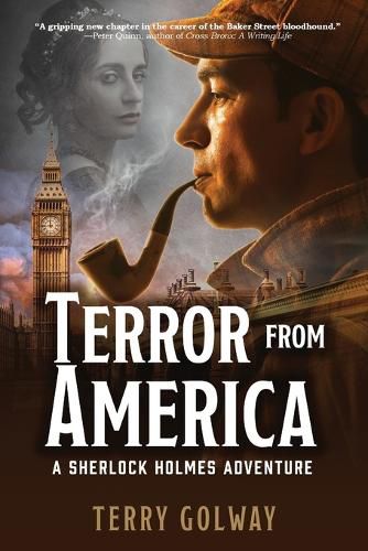 Cover image for Terror From America