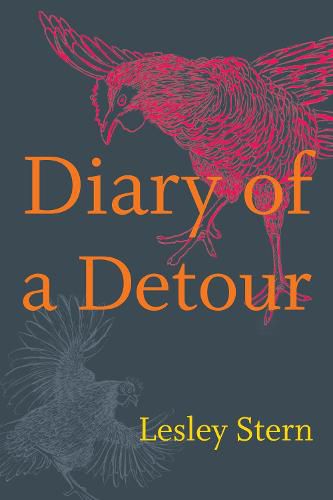 Cover image for Diary of a Detour