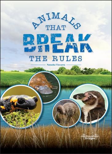 Cover image for Animals That Break the Rules