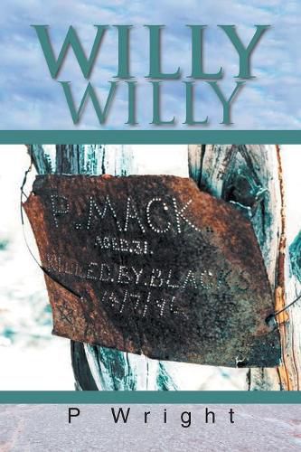 Cover image for Willy Willy