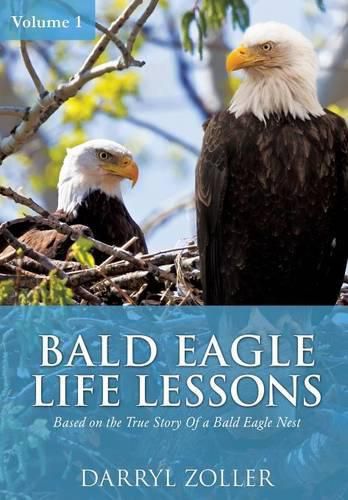 Cover image for Bald Eagle Life Lessons