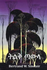 Cover image for &#4725;&#4621;&#4677; &#4899;&#4813;&#4619;: Big Timber, Amharic edition