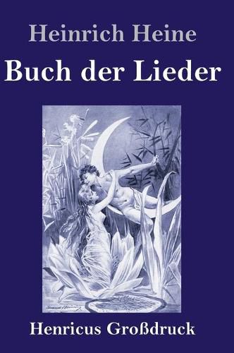 Cover image for Buch der Lieder (Grossdruck)