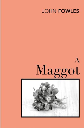 Cover image for A Maggot