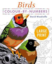 Cover image for Large Print Colour by Numbers Birds: Easy-to-Read