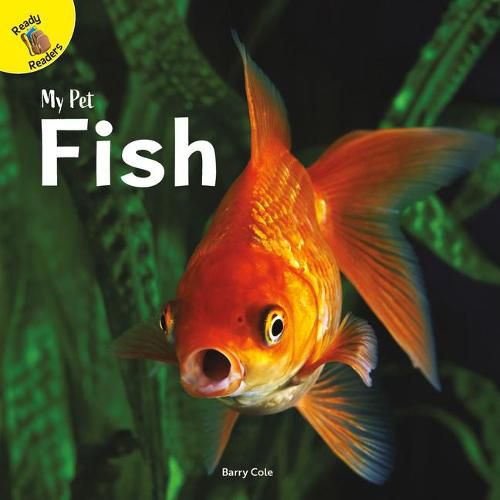 Cover image for Fish