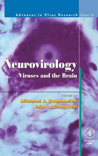 Cover image for Neurovirology: Viruses and the Brain