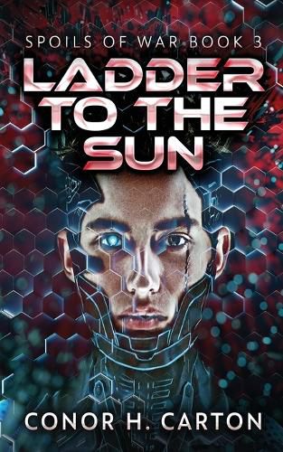 Cover image for Ladder To The Sun