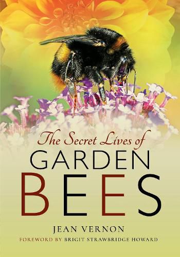 Cover image for The Secret Lives of Garden Bees