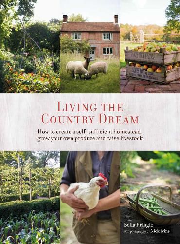 Cover image for Living the Country Dream: How to Create a Self-Sufficient Homestead, Grow Your Own Produce and Raise Livestock