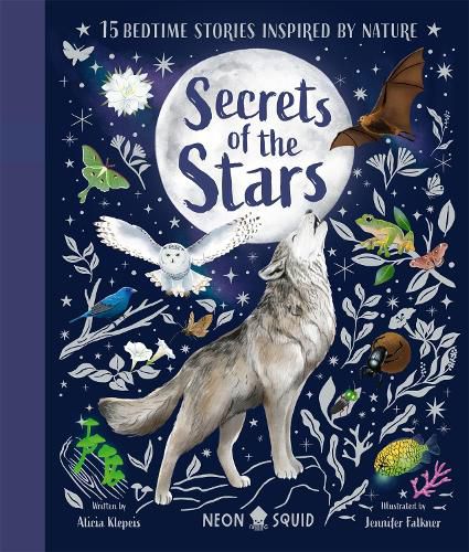 Cover image for Secrets of the Stars