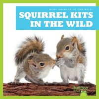 Cover image for Squirrel Kits in the Wild