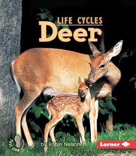Cover image for Deer