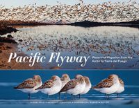 Cover image for Pacific Flyway: Waterbird Migration from the Arctic to Tierra del Fuego