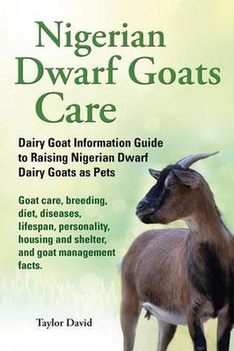 Cover image for Nigerian Dwarf Goats Care: Dairy Goat Information Guide to Raising Nigerian Dwarf Dairy Goats as Pets