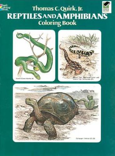 Cover image for Reptiles and Amphibians Coloring Book