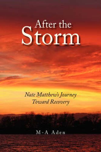 Cover image for After the Storm