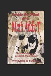 Cover image for Meth: Diary of a Meth Addict