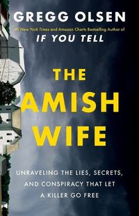Cover image for The Amish Wife
