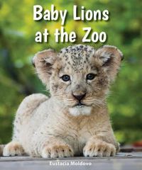 Cover image for Baby Lions at the Zoo