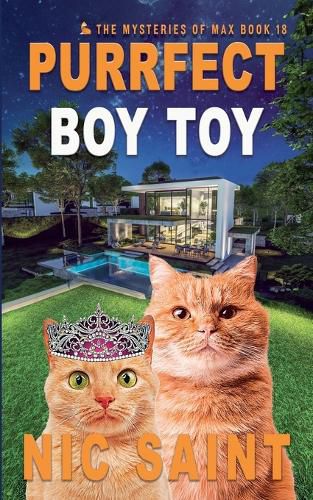 Cover image for Purrfect Boy Toy