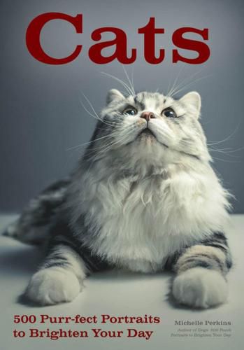 Cover image for Cats: 500 Purr-fect Portraits to Brighten Your Day