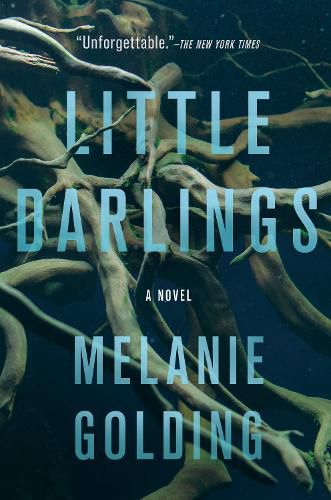 Cover image for Little Darlings: A Novel