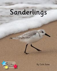 Cover image for Sanderlings: Phonics Phase 4