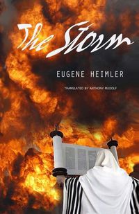 Cover image for The Storm: The Tragedy of Sinai