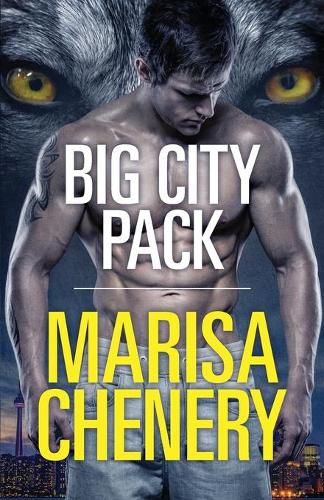 Cover image for Big City Pack