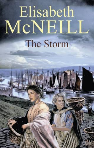 Cover image for The Storm