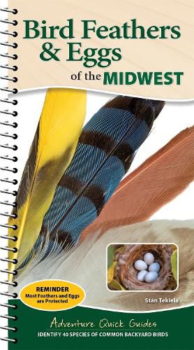 Cover image for Bird Feathers & Eggs of the Midwest