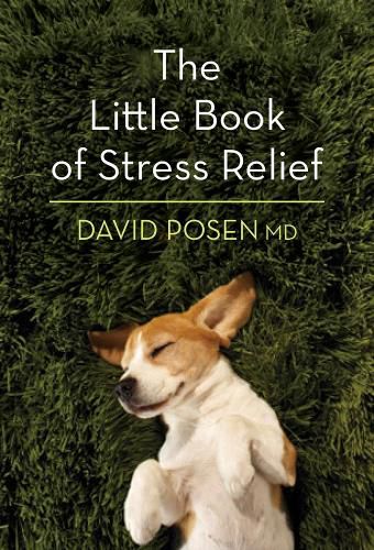 Cover image for Little Book of Stress Relief