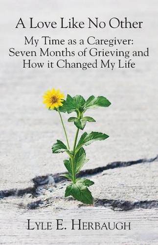 Cover image for A Love Like No Other: My Time as a Caregiver: Seven Months of Grieving and How It Changed My Life