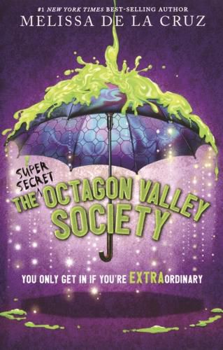 Cover image for Super Secret Octagon Valley Society