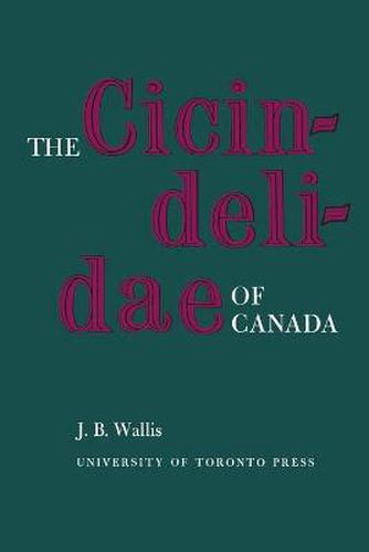 Cover image for The Cicindelidae of Canada