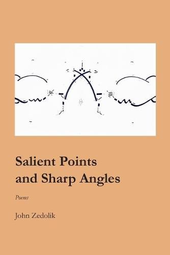 Cover image for Salient Points and Sharp Angles