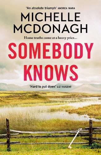 Cover image for Somebody Knows