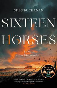 Cover image for Sixteen Horses