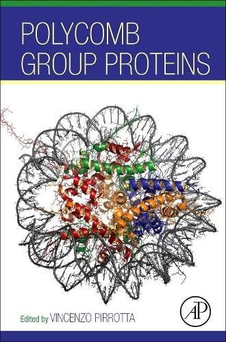 Polycomb Group Proteins