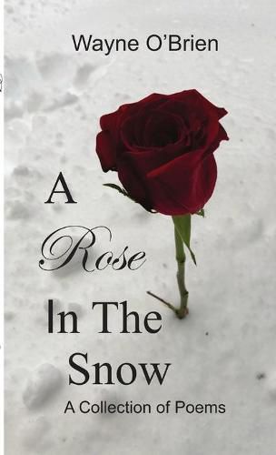 Cover image for A Rose In The Snow